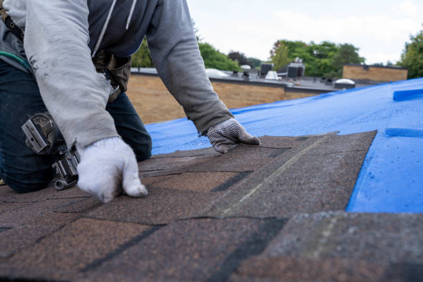 Cold Roofs